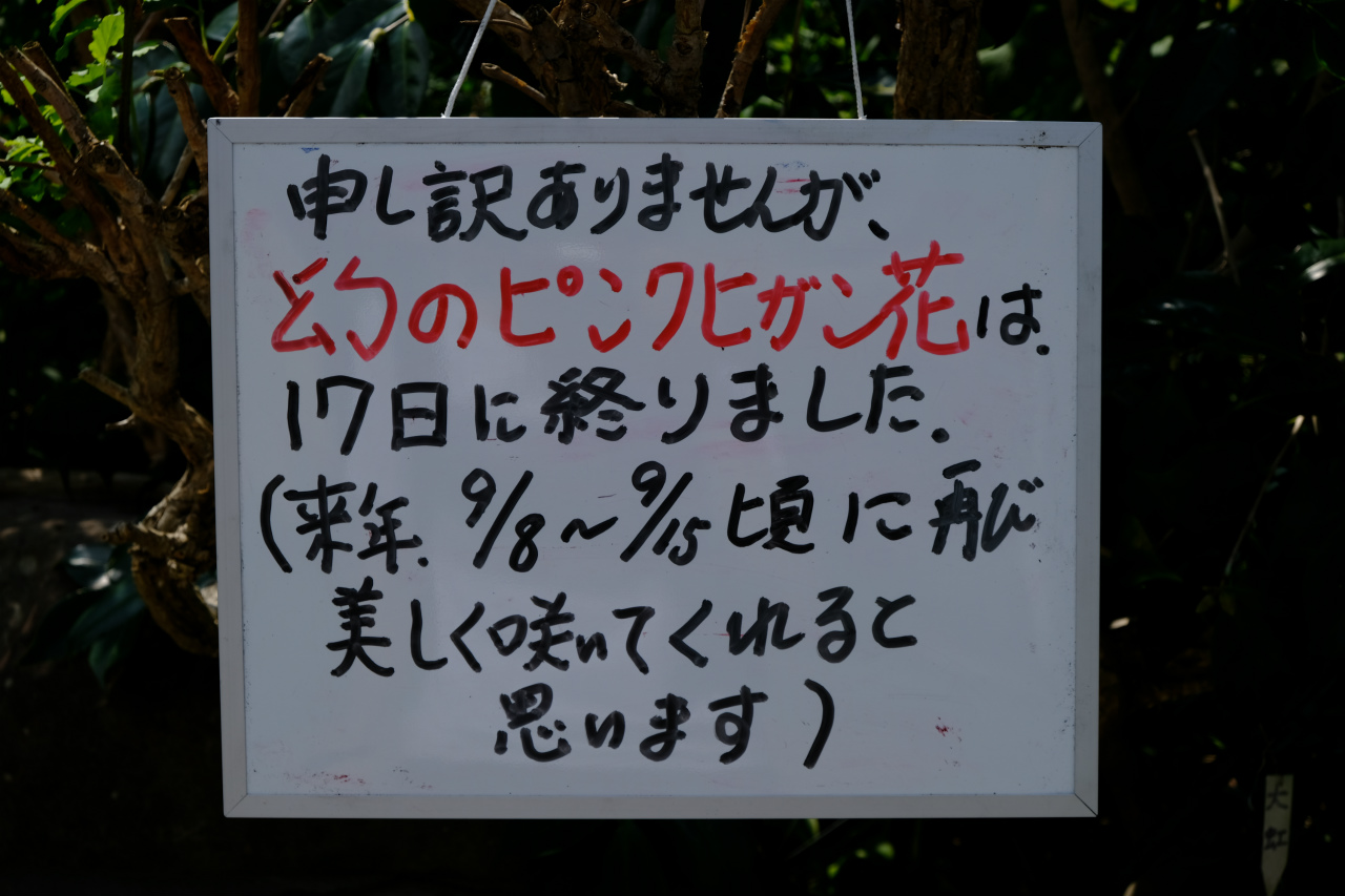 f:id:yamapiclog:20180918163030j:plain