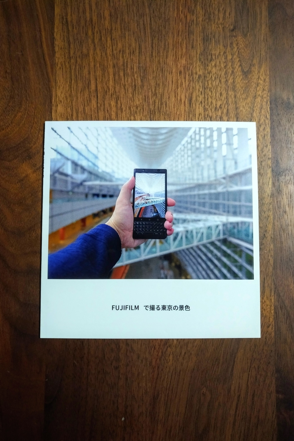 f:id:yamapiclog:20181023200830j:plain f:id:yamapiclog:20181023200830j:plain