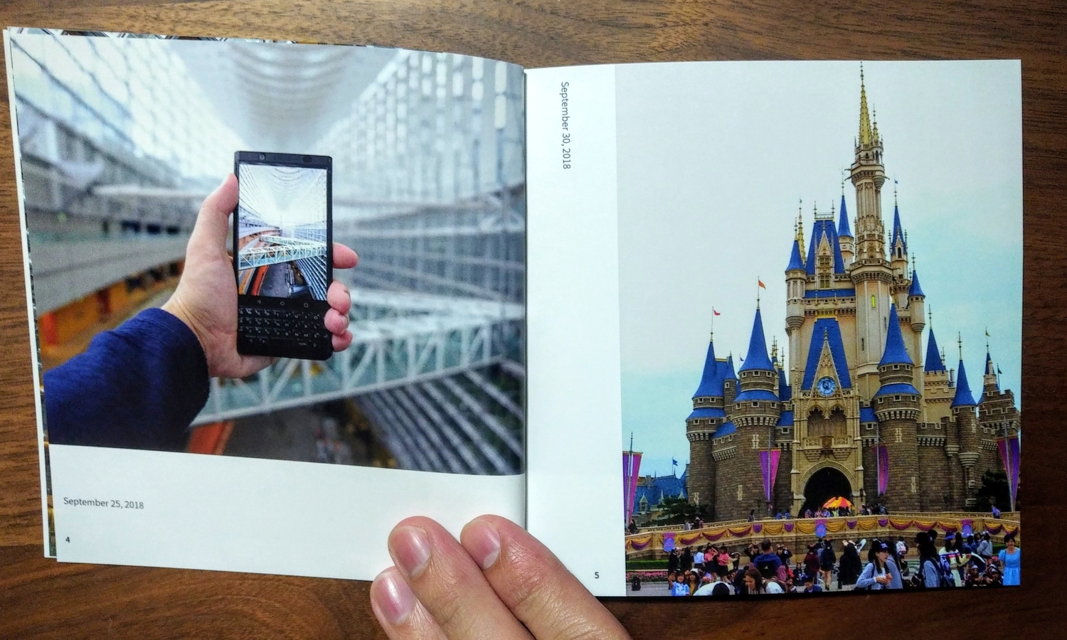 f:id:yamapiclog:20181023200935j:plain f:id:yamapiclog:20181023200935j:plain