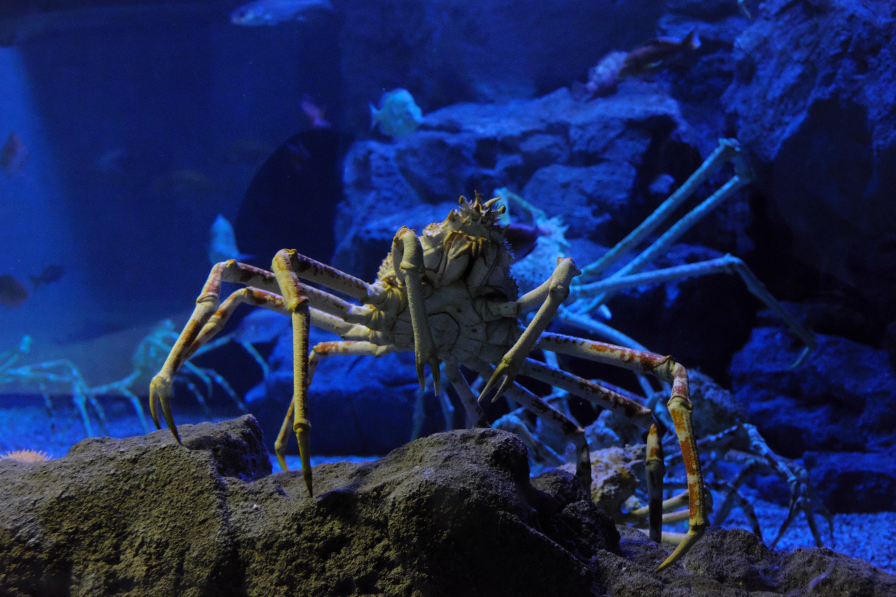 f:id:yamapiclog:20181209201426j:plain f:id:yamapiclog:20181209201426j:plain