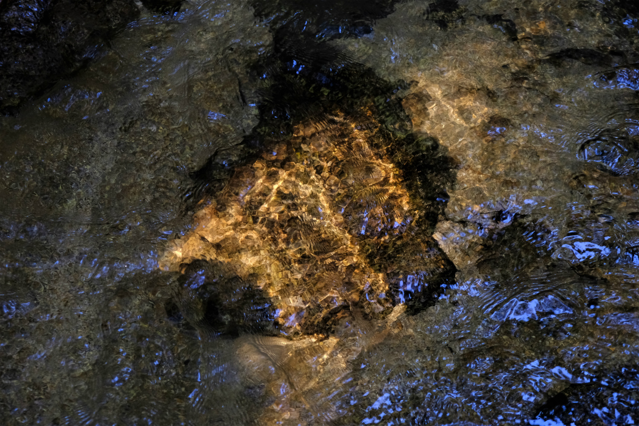 f:id:yamapiclog:20181221233412j:plain f:id:yamapiclog:20181221233412j:plain