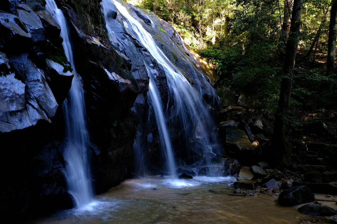 f:id:yamapiclog:20181221233421j:plain f:id:yamapiclog:20181221233421j:plain