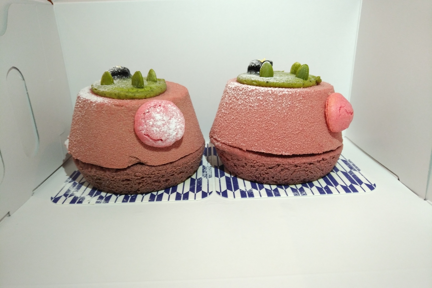 f:id:yamapiclog:20190214225539j:plain