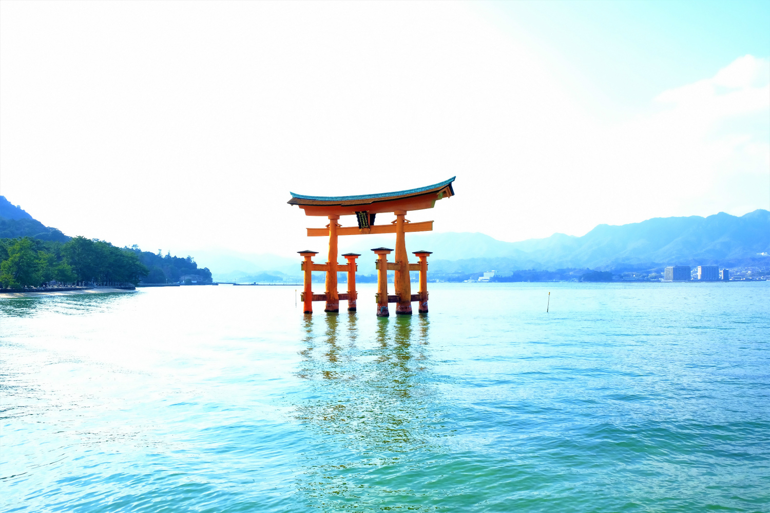 f:id:yamapiclog:20190219221911j:plain