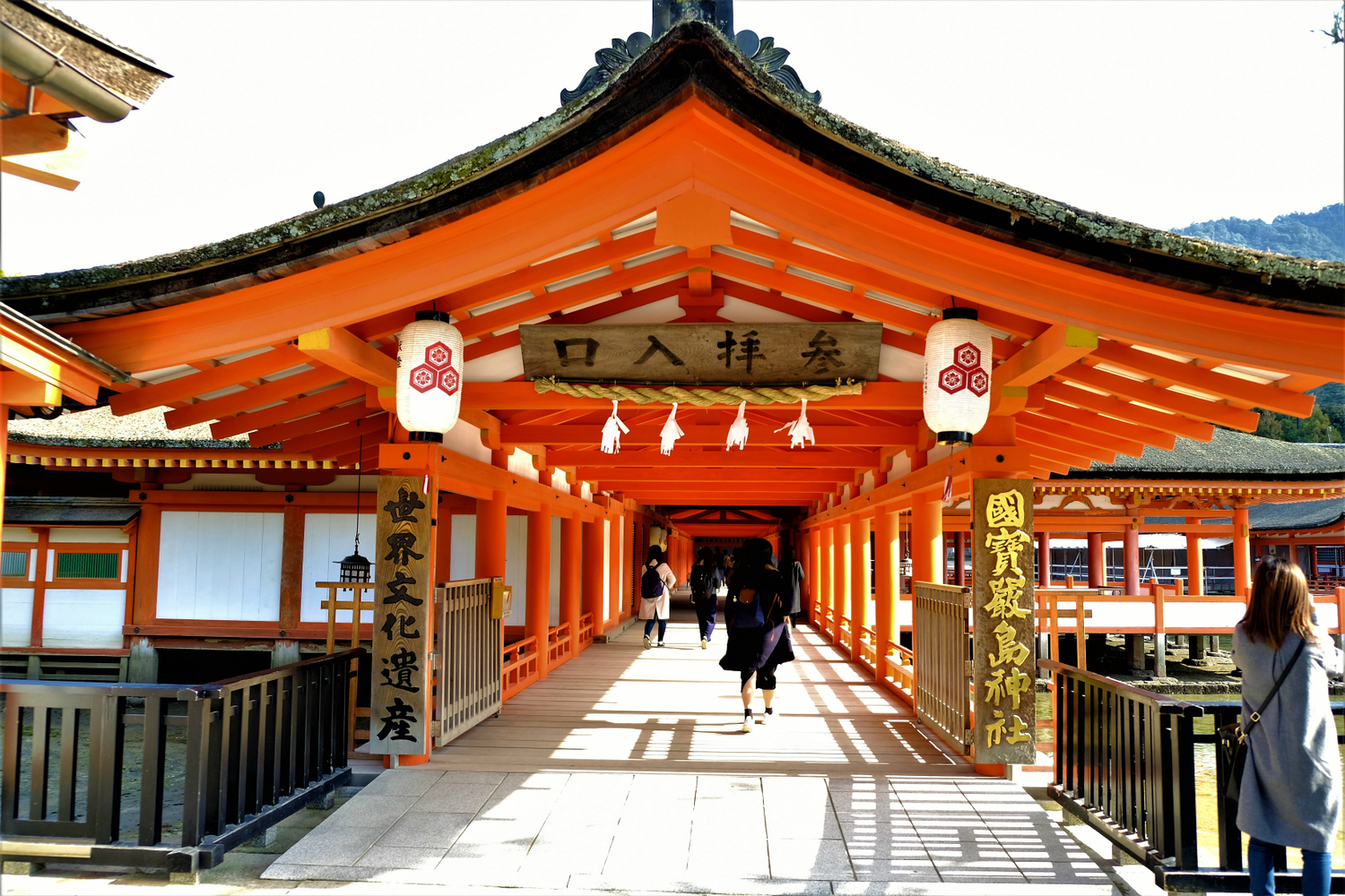 f:id:yamapiclog:20190219222018j:plain