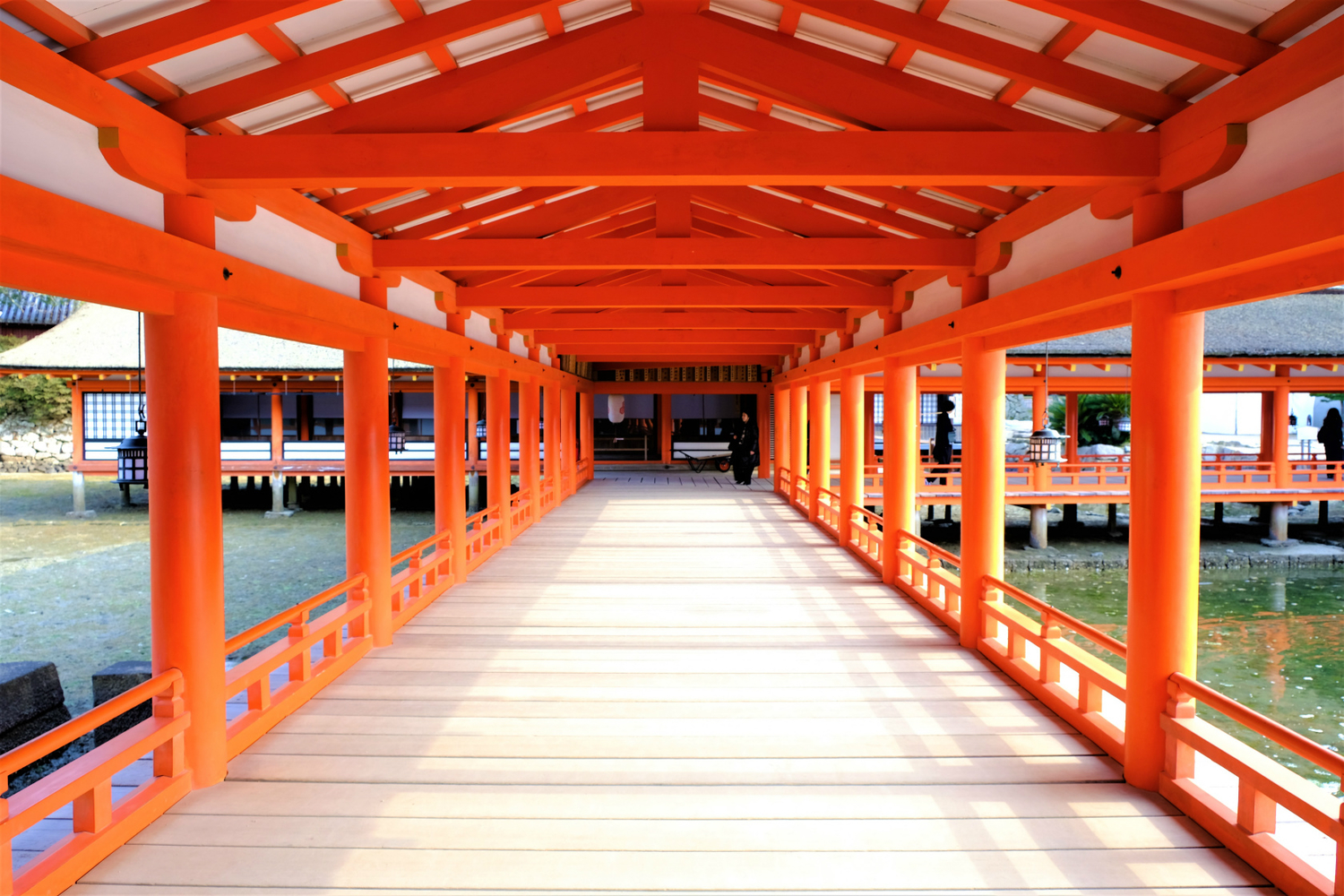 f:id:yamapiclog:20190219222028j:plain