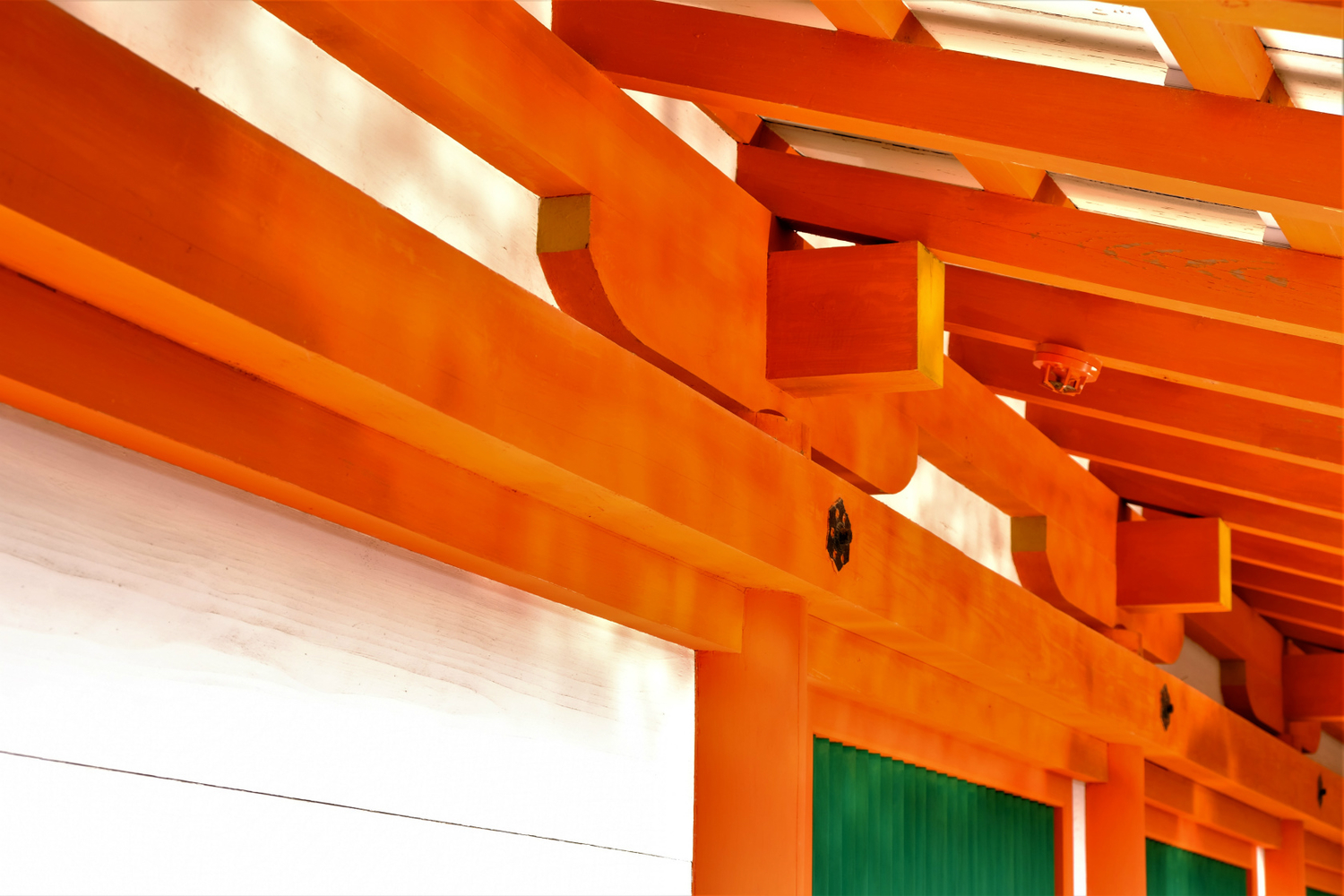 f:id:yamapiclog:20190219222036j:plain