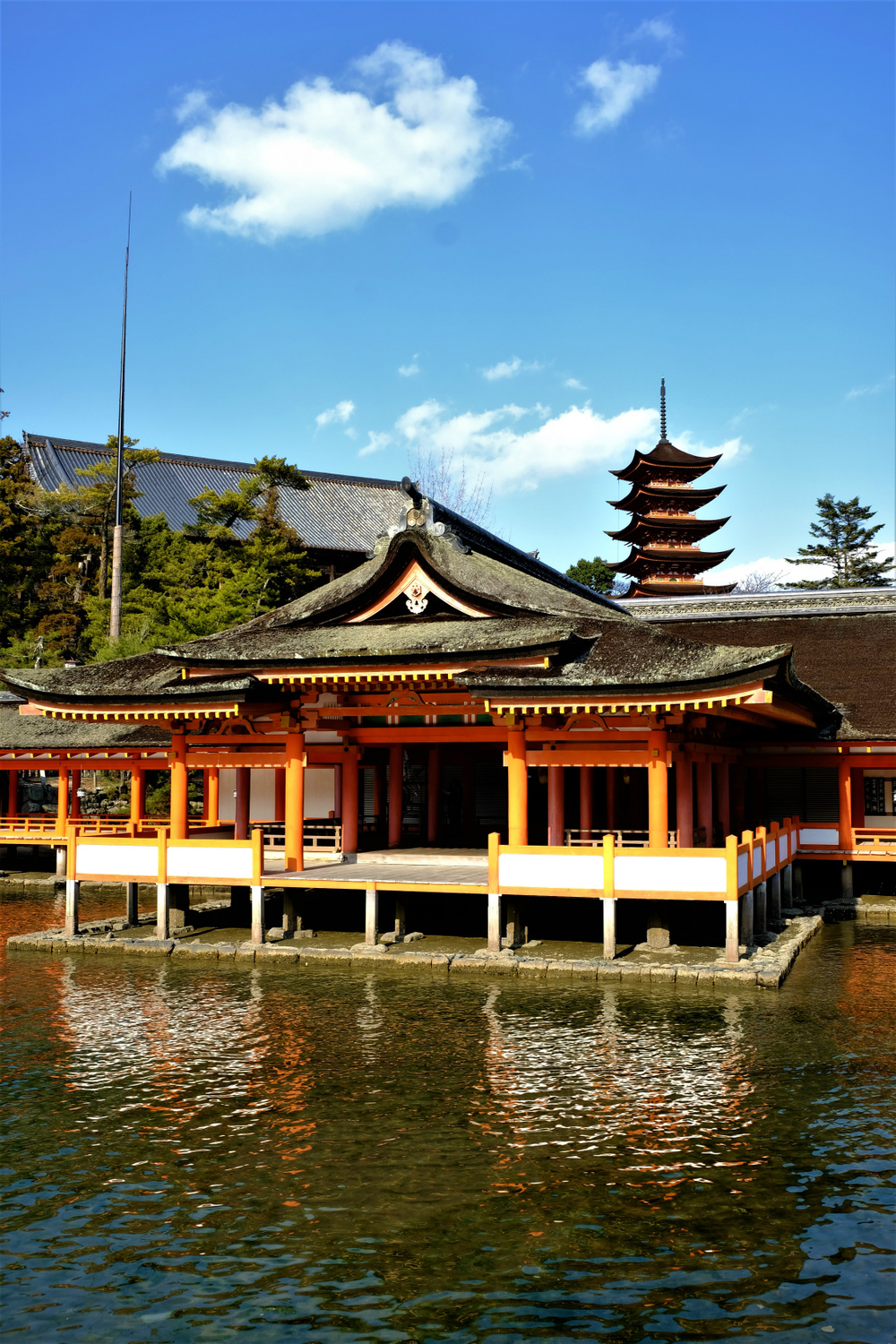 f:id:yamapiclog:20190219222051j:plain