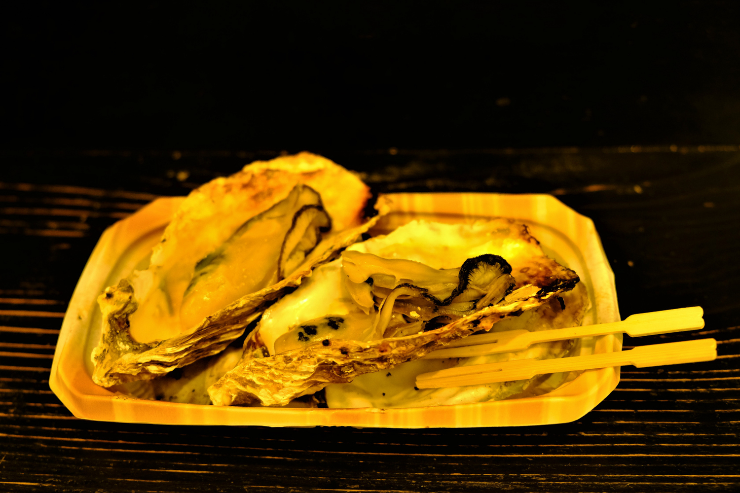 f:id:yamapiclog:20190219222321j:plain