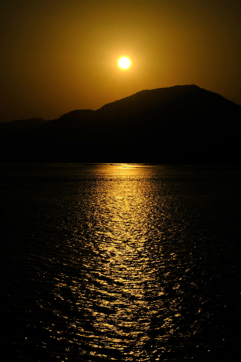 f:id:yamapiclog:20190219222334j:plain