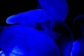 20220121205234