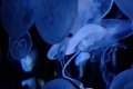 20220121205253