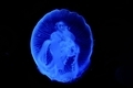 20220121205342