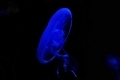 20220121205641