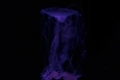 20220121210011
