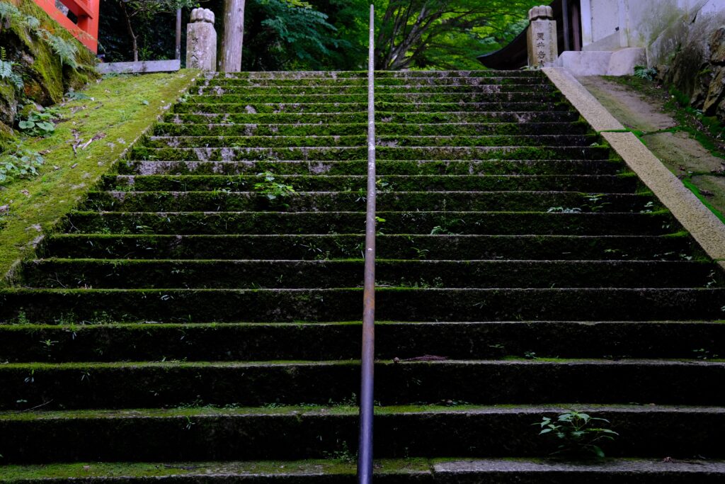 f:id:yamapiclog:20220123225215j:plain