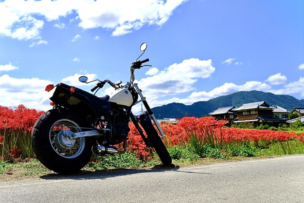 彼岸花 ツーリング】秋の訪れを告げる彼岸花｜京都亀岡市 - バイクと