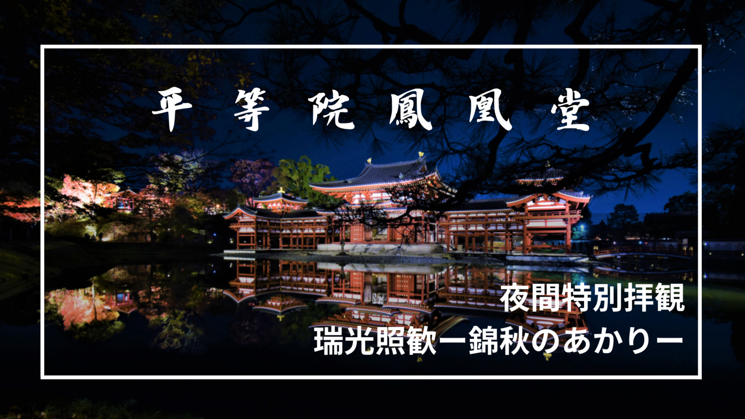 写真スポット】平等院鳳凰堂 夜間特別拝観『瑞光照歓』で魅せる