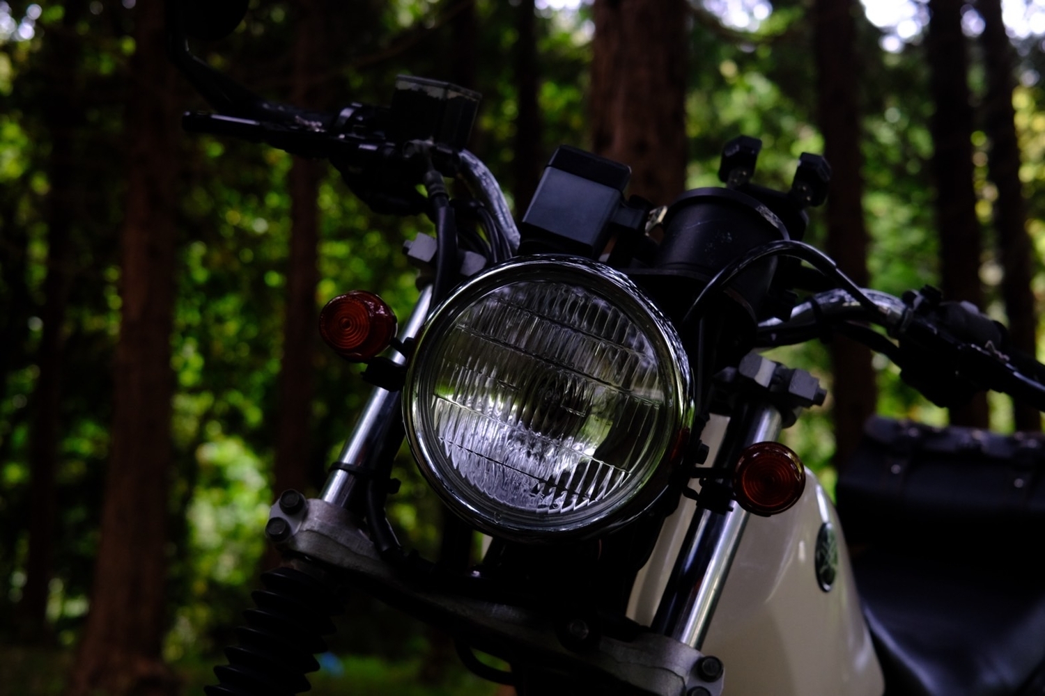 TW225とライダーの写真