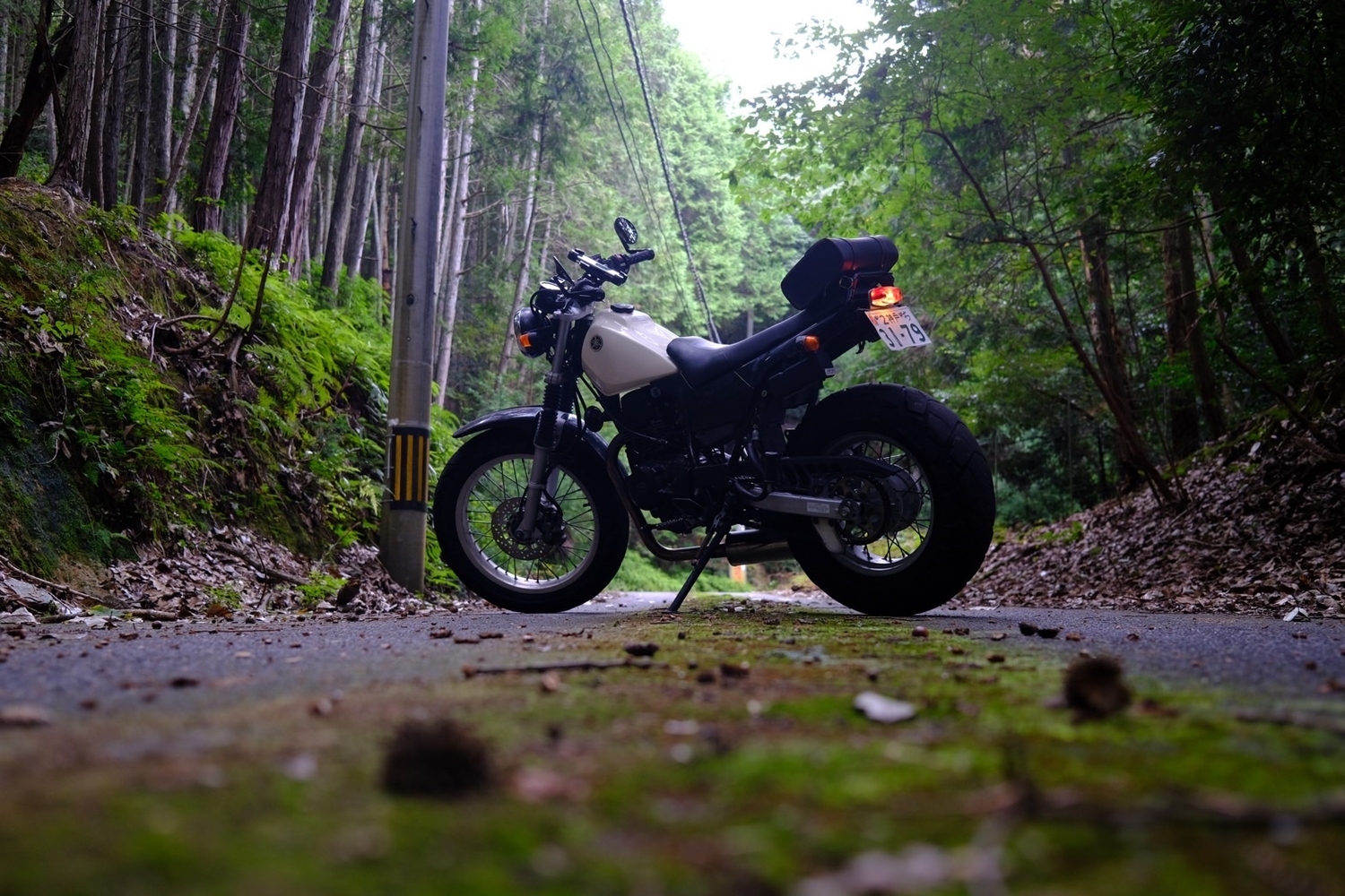 苔や落ち葉のある山道