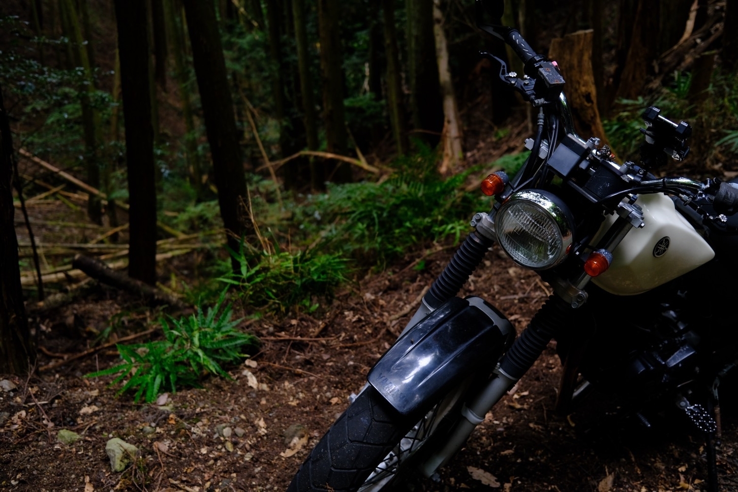 狭い山道の写真