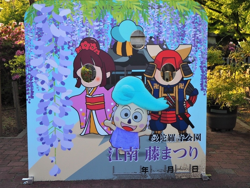 イメージ 18