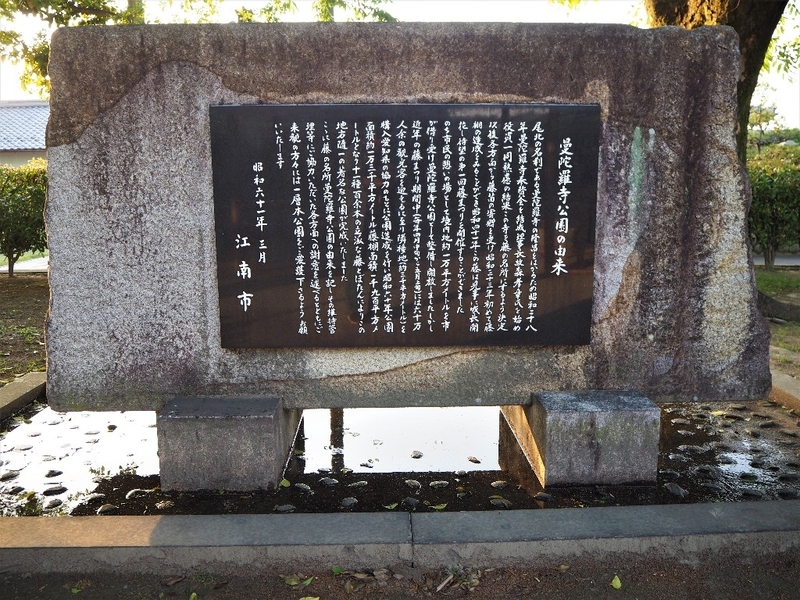 イメージ 49