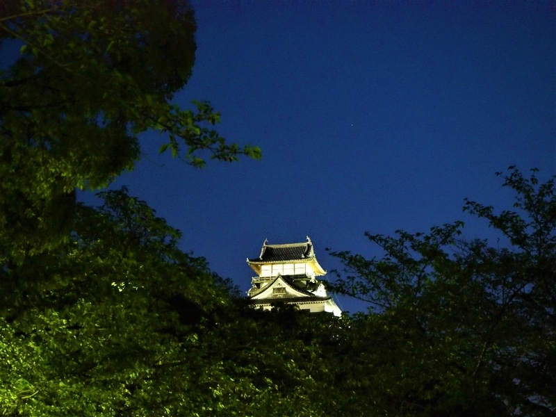 イメージ 11