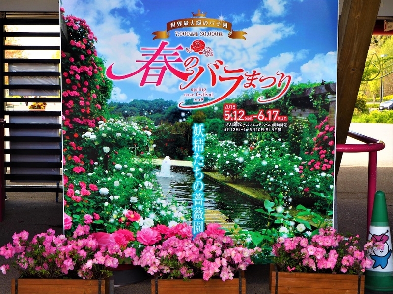 イメージ 47