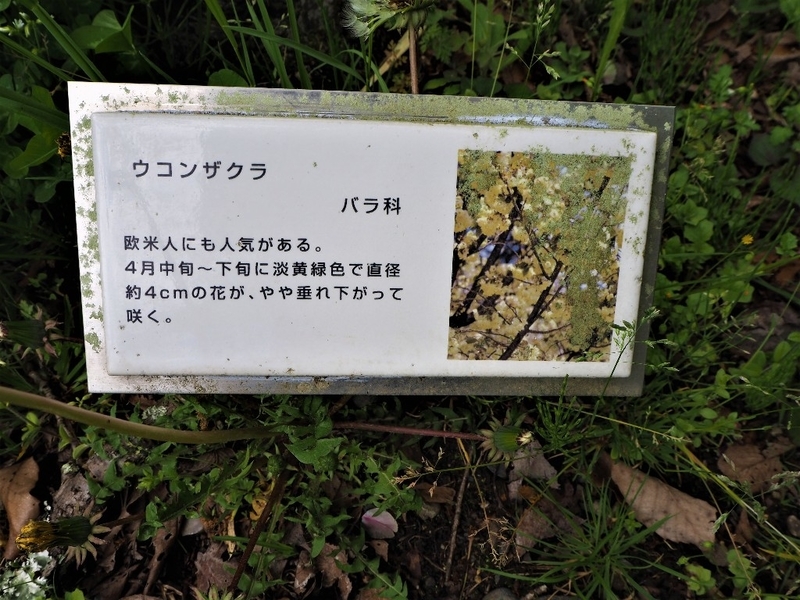 イメージ 8