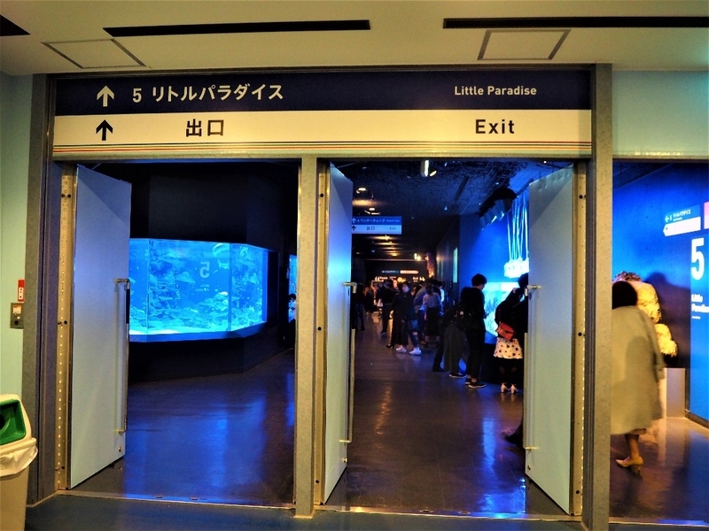 イメージ 20