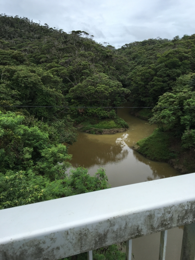 f:id:yamasa-kick:20171129232623j:plain f:id:yamasa-kick:20171129232623j:plain
