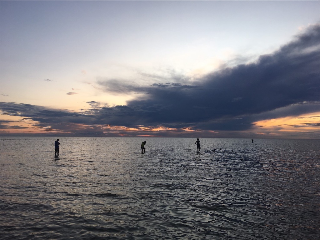 f:id:yamasa1014:20190809175108j:image