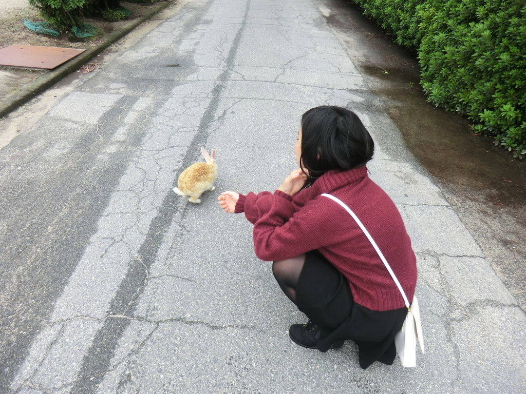 f:id:yamasaki1ma:20190206181910j:plain f:id:yamasaki1ma:20190206181910j:plain