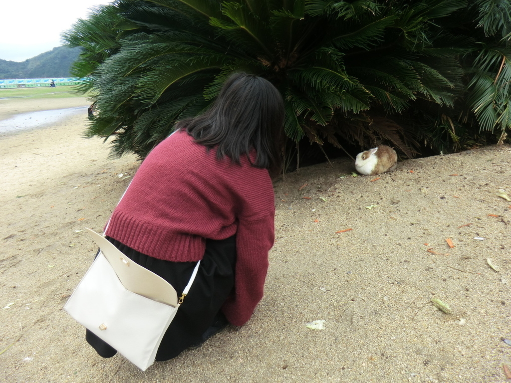 f:id:yamasaki1ma:20190206182113j:plain f:id:yamasaki1ma:20190206182113j:plain