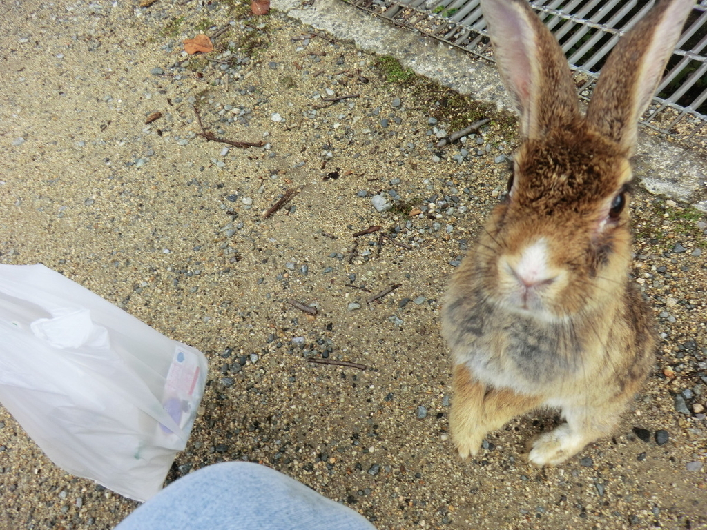 f:id:yamasaki1ma:20190206182635j:plain f:id:yamasaki1ma:20190206182635j:plain