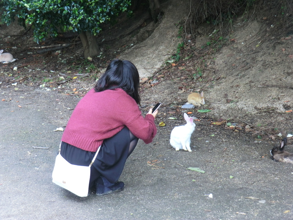 f:id:yamasaki1ma:20190206182655j:plain f:id:yamasaki1ma:20190206182655j:plain