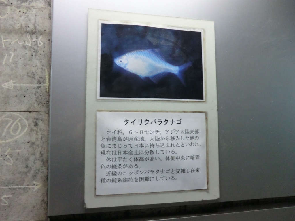 f:id:yamasaki1ma:20190216185644j:plain f:id:yamasaki1ma:20190216185644j:plain