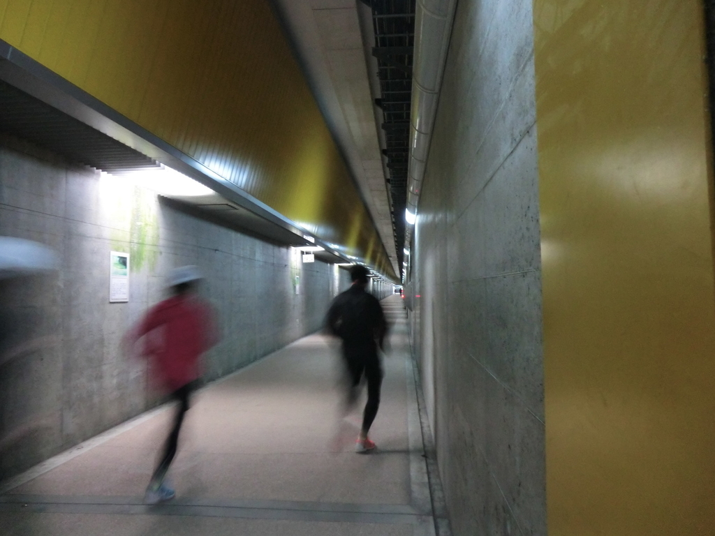 f:id:yamasaki1ma:20190216185844j:plain f:id:yamasaki1ma:20190216185844j:plain