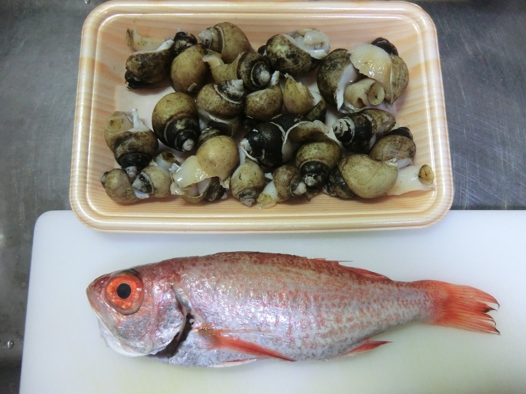 f:id:yamasaki1ma:20190216204911j:plain f:id:yamasaki1ma:20190216204911j:plain