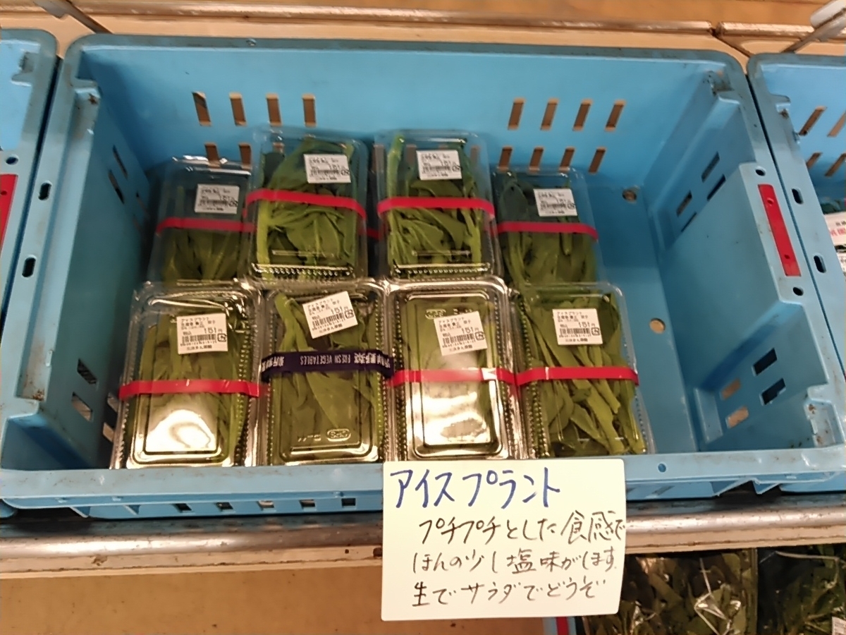 f:id:yamasaki1ma:20190330193416j:plain f:id:yamasaki1ma:20190330193416j:plain