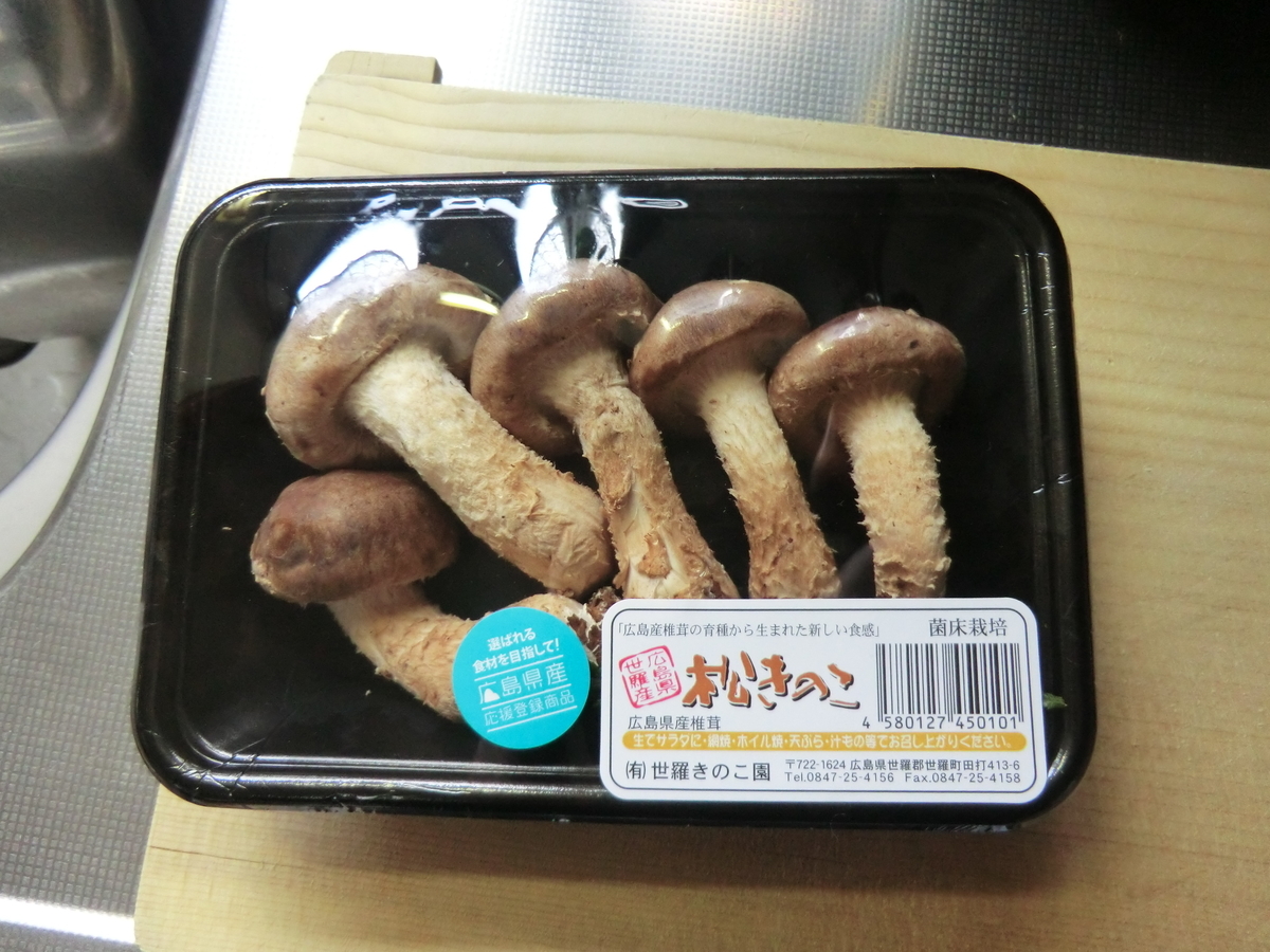 f:id:yamasaki1ma:20190402123238j:plain f:id:yamasaki1ma:20190402123238j:plain