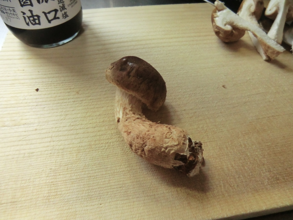 f:id:yamasaki1ma:20190402123345j:plain f:id:yamasaki1ma:20190402123345j:plain