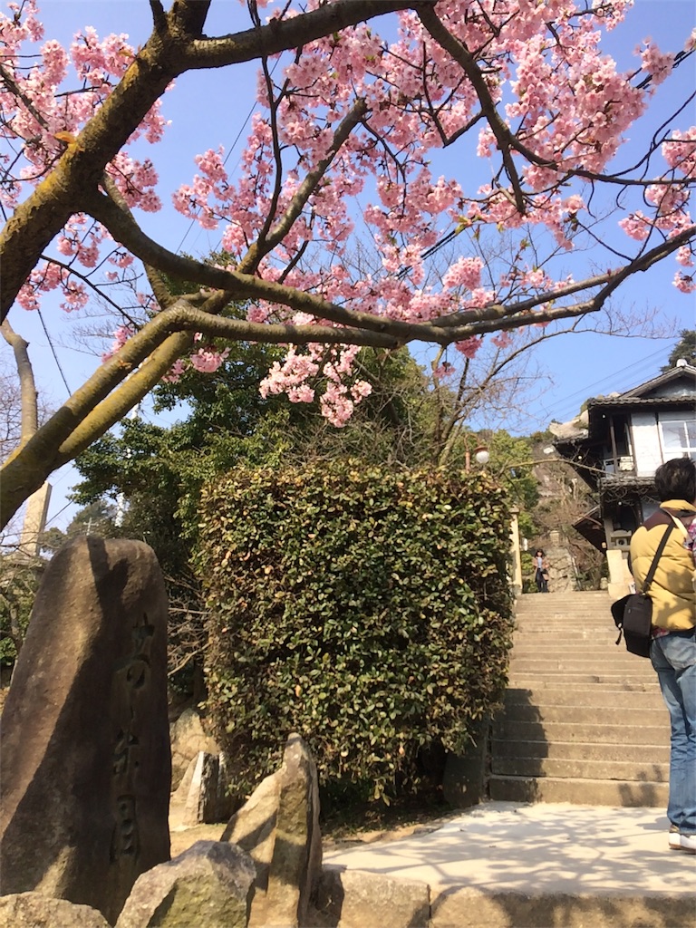 f:id:yamasan-19851021:20170326141215j:image f:id:yamasan-19851021:20170326141215j:image