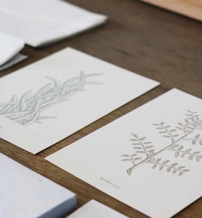 f:id:yamasan0521:20170605222017j:plain