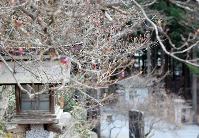 神社の参拝