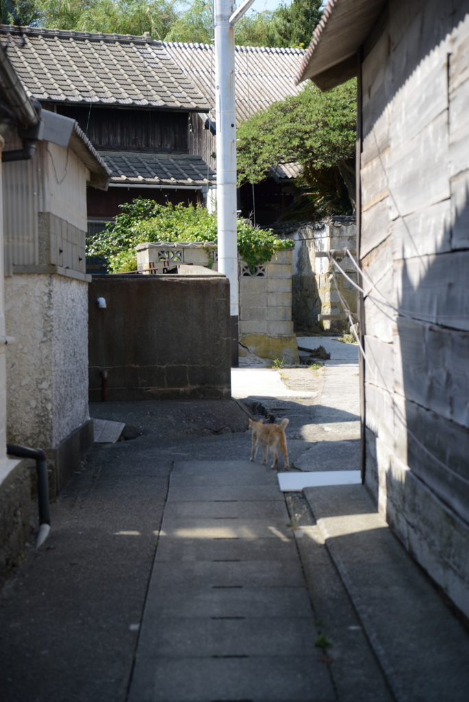 f:id:yamasan1453:20170606211651j:plain f:id:yamasan1453:20170606211651j:plain