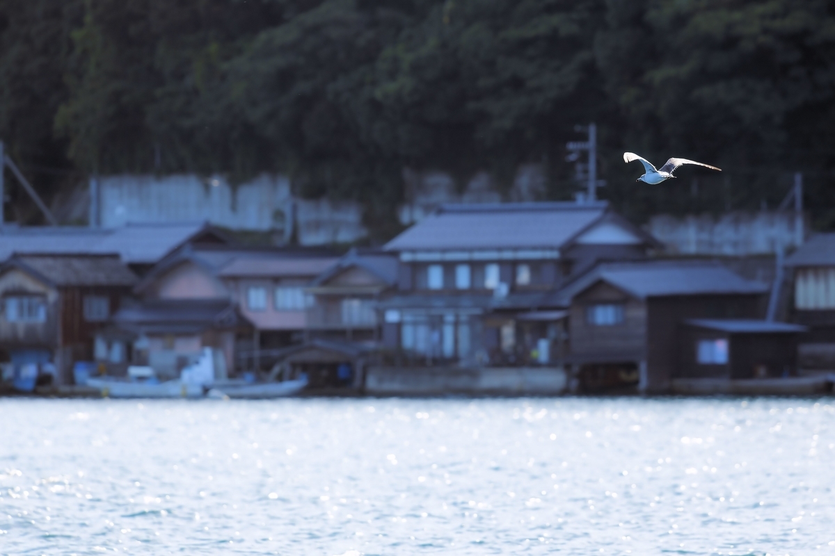 f:id:yamasemi5150:20190907221739j:plain f:id:yamasemi5150:20190907221739j:plain