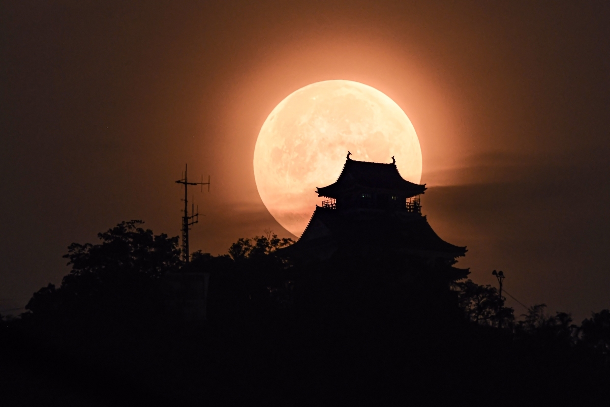 f:id:yamasemi5150:20200728234559j:plain f:id:yamasemi5150:20200728234559j:plain