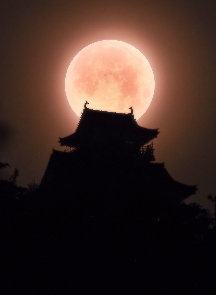 f:id:yamasemi5150:20200728234659j:plain f:id:yamasemi5150:20200728234659j:plain
